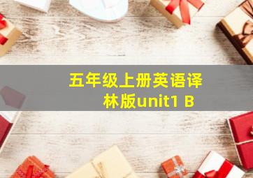 五年级上册英语译林版unit1 B